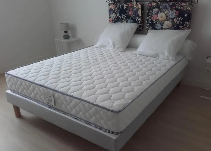 Sur L'estuaire De La Gironde * Saint-Seurin-d'Uzet